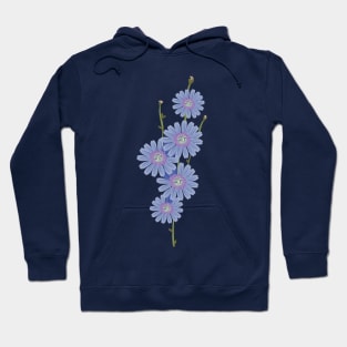 Chicory a bouquet of blue flowers Hoodie